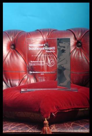 2008 excellence in e-commerce : The award